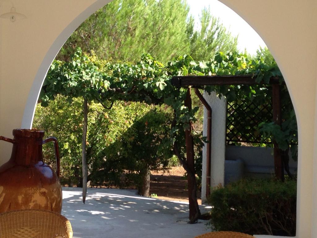 La Vecchia Tabaccheria B&B 奥斯图尼 外观 照片